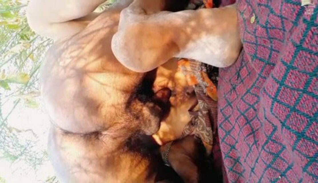 देसी भाभी ने खेत में बुर चुदवाया